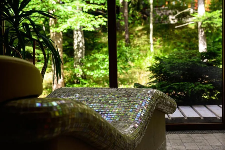 Hotel Promyk Wellness & Spa Karpacz