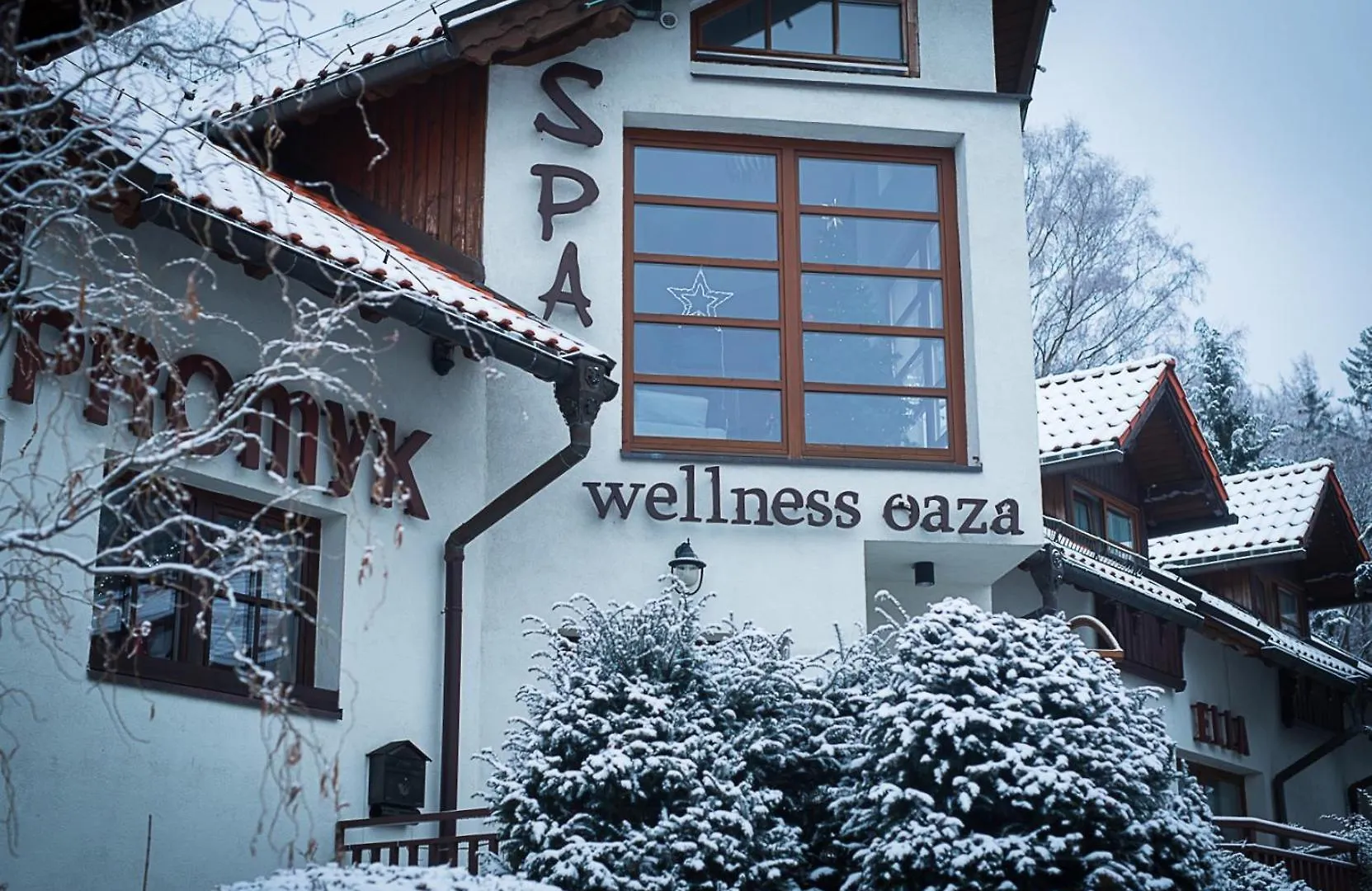 Hotel Promyk Wellness & Spa Karpacz